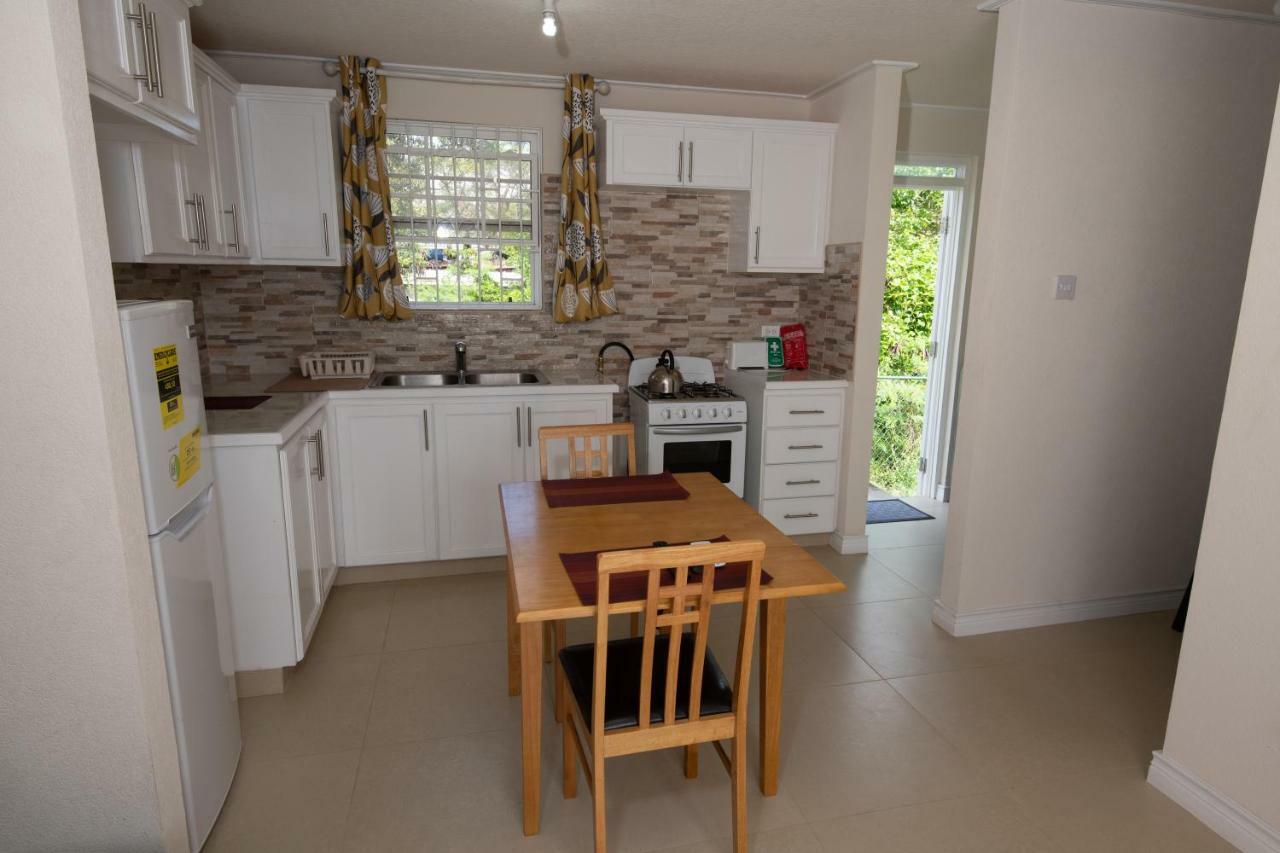 קרייסט צ'רץ' The Cottage, Saint Davids מראה חיצוני תמונה