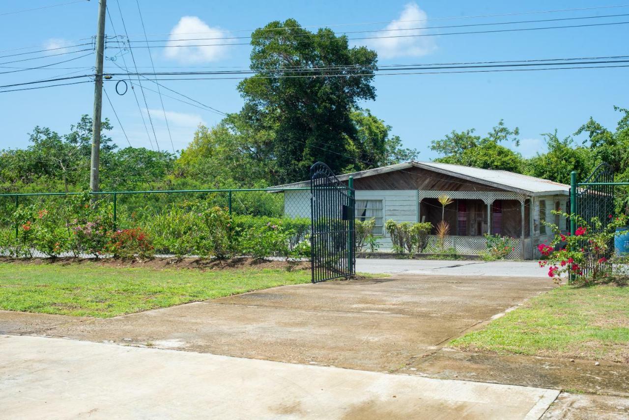 קרייסט צ'רץ' The Cottage, Saint Davids מראה חיצוני תמונה